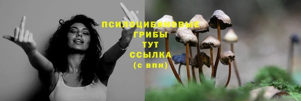 прущая мука Богородск